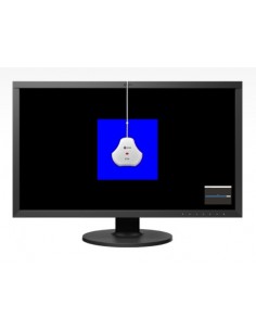 Monitor EIZO COLOREDGE... 2